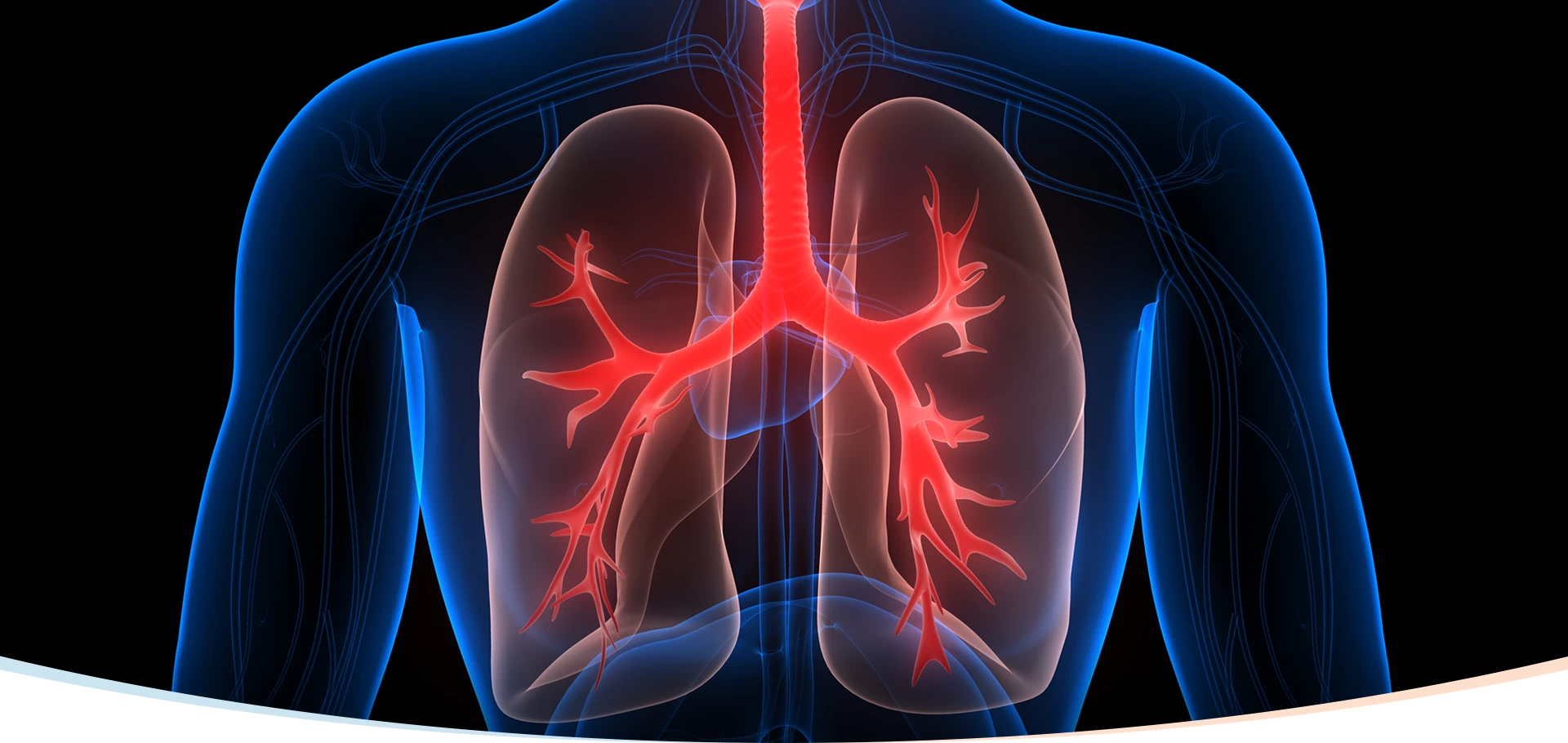 grafika płuc